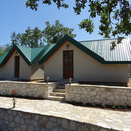 Apartmani Vinici Danilovgrad Екстериор снимка